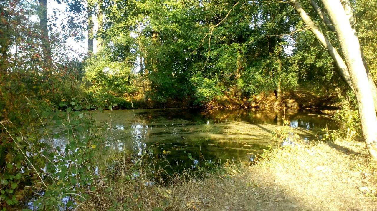 Ferienhof Mies Steffenshof Dış mekan fotoğraf